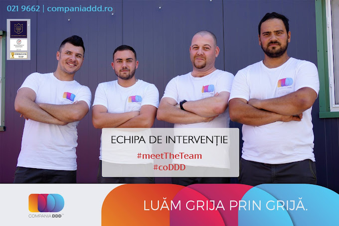 Prețuri pentru deratizare și dezinsecție în blocuri: ghid actualizat